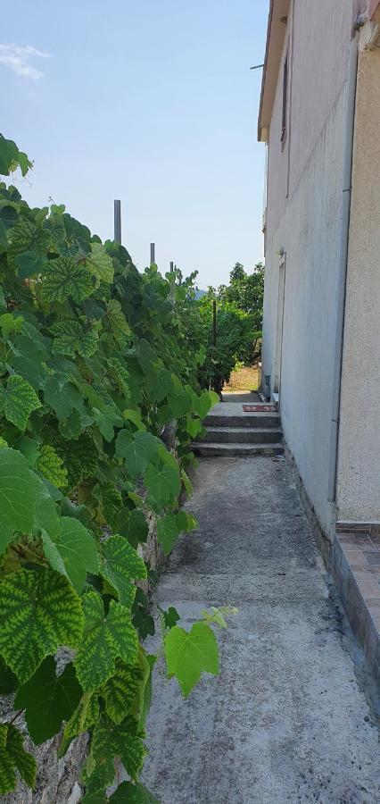 Mesopotam Margaret'S Guest House מראה חיצוני תמונה